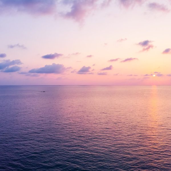 Aerial view of beautiful beach and sea with coconut palm tree at sunset time on paradise island